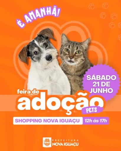 Não Perca a Feira de Adoção de Pets!