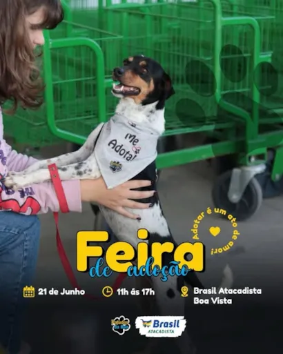 Encante-se na Feira de Adoção 2025!