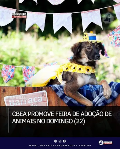 Feira de Adoção de Animais em Joinville: Encontre um Amigo no Domingo!