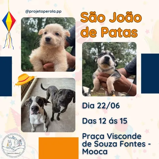 Participe da feira de adoção de pets "São João de Patas" em São Paulo. Em 22/06/2025, adote e transforme vidas!