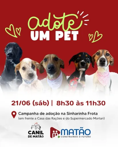 Venha Adotar um Amigo!
