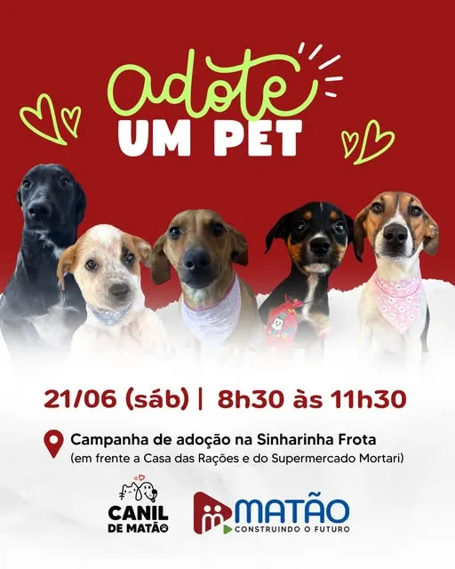 Adote um pet em Matão no dia 21/06/2025. Evento acontecerá na Sinharinha Frota, em frente à Casa das Rações e do Supermercado Mortari.
