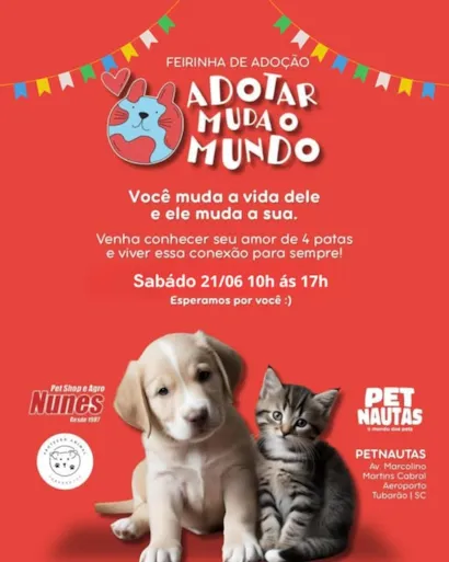 Encontre Seu Companheiro de Quatro Patas