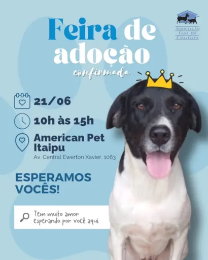Venha Encontrar seu Novo Amigo na Feira de Adoção!