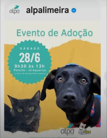 Evento de Adoção de Animais em São José dos Campos