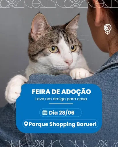 Adote um Amigo e Transforme Vidas