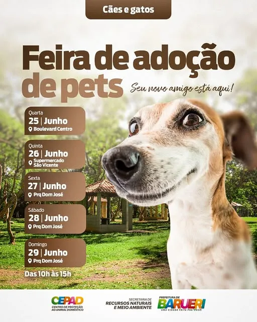 Encontre seu novo amigo na Feira de Adoção de Pets em Barueri de 25 a 29 de junho de 2025. Adote cães e gatos esperam por um lar amoroso. Confira os locais e horários!