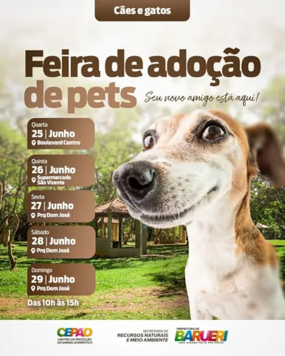 Encontre Seu Novo Melhor Amigo na Feira de Adoção de Pets em Barueri!