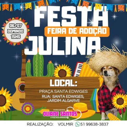 Festa Julina e Feira de Adoção: Encontre Seu Novo Amigo!