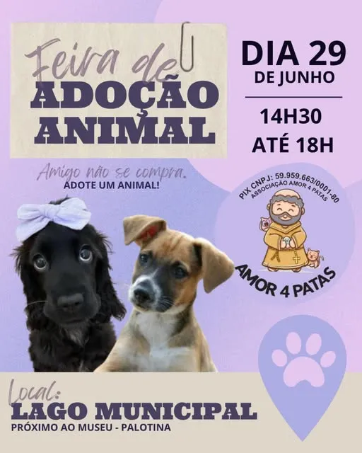 Participe da feira de adoção em Palotina e transforme a vida de um animal. Evento no Lago Municipal, das 14h30 às 18h, dia 29 de junho.