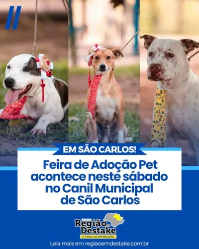 Venha Encontrar Seu Novo Amigo na Feira de Adoção de São Carlos!