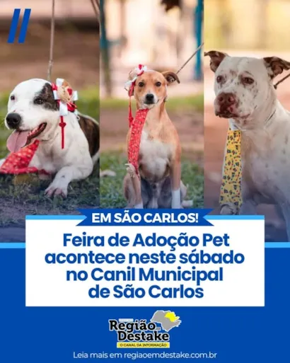 Venha Encontrar Seu Novo Amigo na Feira de Adoção de São Carlos!