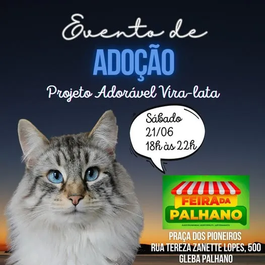 Participe do Evento de Adoção do Projeto Adorável Vira-lata em Londrina, dia 21/06. Encontre um amigo de quatro patas na Feira da Palhano!