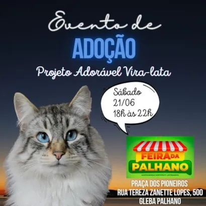Adote um Amigo na Feira de Palhano
