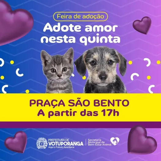 Venha à Feira de Adoção na Praça São Bento, Votuporanga, e encontre seu novo amigo. Evento ocorre nesta quinta, a partir das 17h. Transforme vidas!