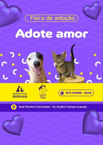Feira de Adoção - Adote Amor!