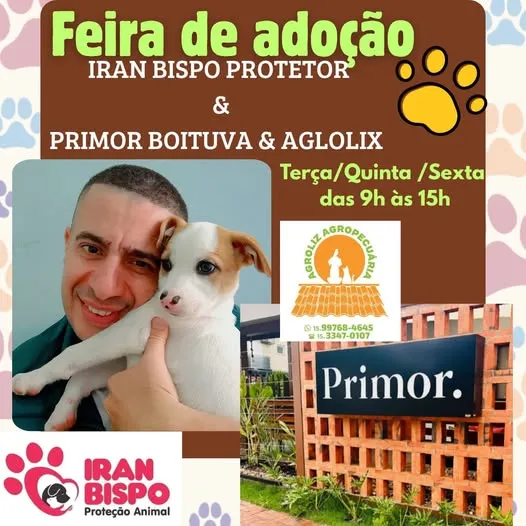 "Adote um amigo na Feira de Adoção em Boituva com Iran Bispo Protetor. Participe de terça a sexta, das 9h às 15h."