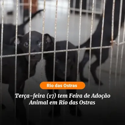 "Encontre seu Melhor Amigo na Feira de Adoção de Rio das Ostras!"