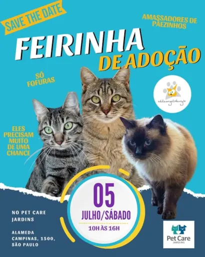 Feira de Adoção de Fofuras