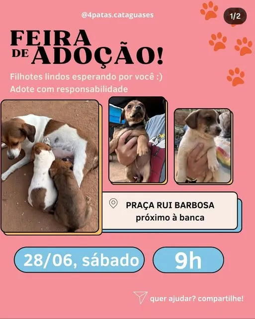 Participe da Feira de Adoção de Filhotes em Cataguases no dia 28/06/2025 na Praça Rui Barbosa. Adote com responsabilidade!