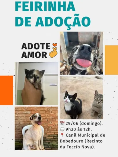 Encontre Seu Novo Amigo na Feirinha de Adoção!