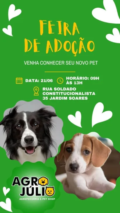 Encontre Seu Novo Amigo na Feira de Adoção da Agro Júlio