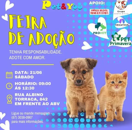 Participe da Feira de Adoção em Campo Grande e encontre seu novo amigo!  21/06/2025, das 09:00 às 12:30. Adote com responsabilidade!