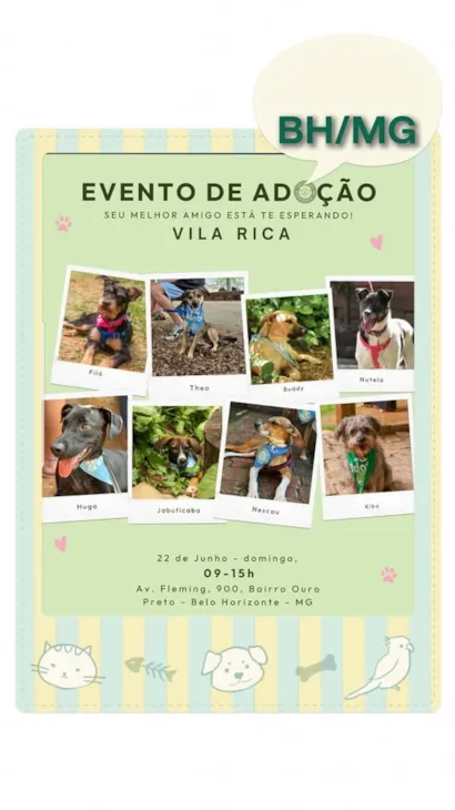 Encontre Seu Novo Melhor Amigo na Feira de Adoção