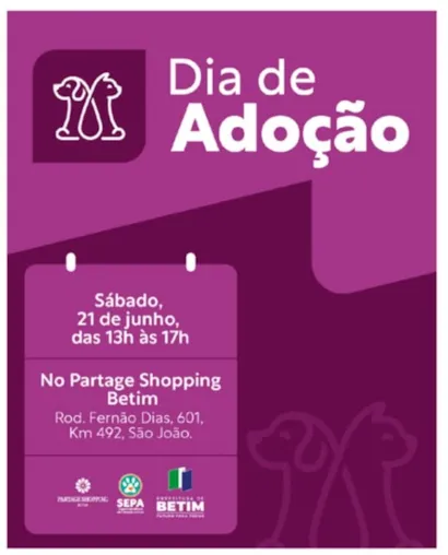 Encontre seu novo amigo no Dia de Adoção!