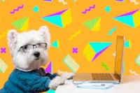 Tecnologia para Pets: Saúde, Segurança e Bem-Estar
