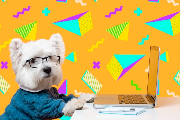 Tecnologia a Favor dos Pets: Uma Nova Era de Cuidado, Segurança e Conexão