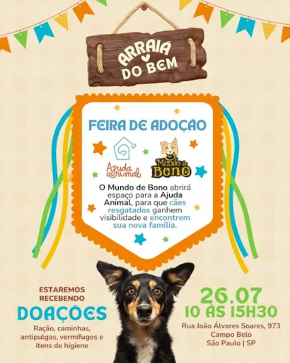 Arraiá do Bem: Feira de Adoção Animal