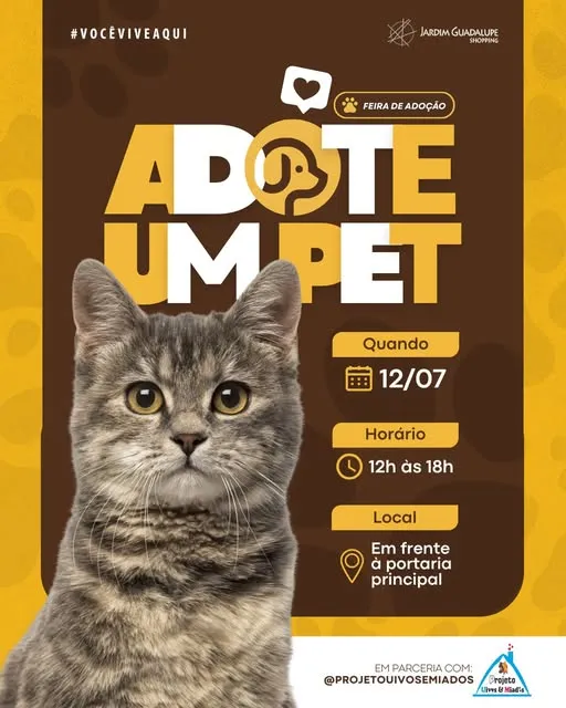Participe da Feira de Adoção no Shopping Jardim Guadalupe e encontre seu novo amigo peludo! Dia 12/07, das 12h às 18h. Não perca!
