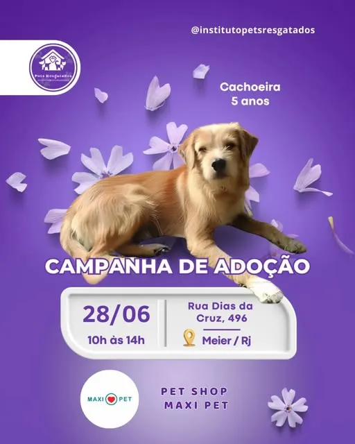 Participe da nossa Campanha de Adoção em 28/06/2025 na Rua Dias da Cruz, 496, e encontre seu novo amigo. Saiba mais!