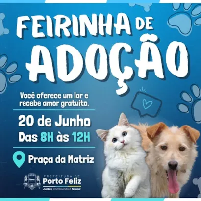 Encontre o Amor na Feirinha de Adoção em Porto Feliz
