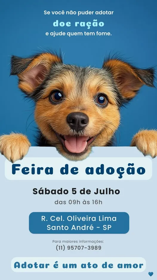 Venha à Feira de Adoção em Santo André no dia 5 de Julho e faça a diferença na vida dos animais. Doe ração ou adote um novo amigo!