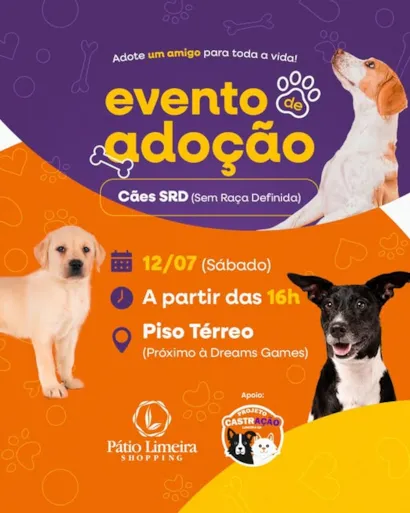 Adote um Amigo para Toda a Vida na Feira de Adoção!