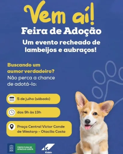 Vem Aí! Feira de Adoção: Um Evento Recheado de Lambeijos e Aubraços!