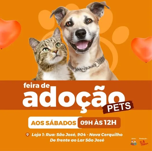 Participe da Feira de Adoção de Pets em Cerquilho, SP, e encontre o seu novo companheiro! Saiba mais.