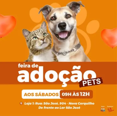 Encontre Seu Novo Amigo de Estimação!