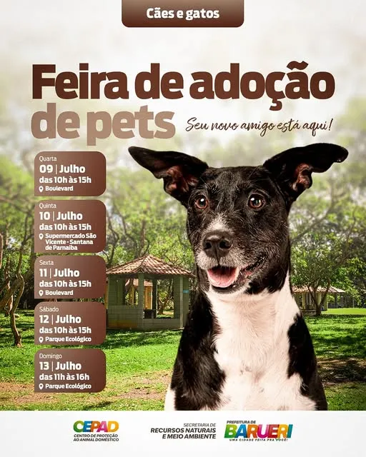 Venha para a Feira de Adoção de Pets em Barueri e encontre seu novo amigo! Cães e gatos disponíveis para adoção. Confira as datas e locais.