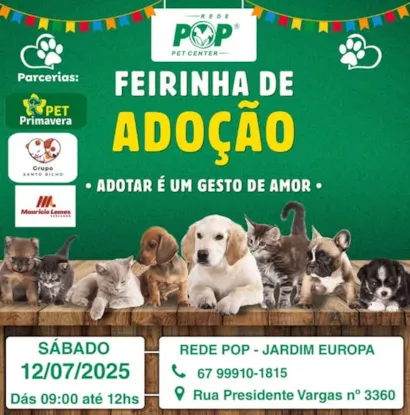 Encontre o Amor da sua Vida na Feirinha de Adoção