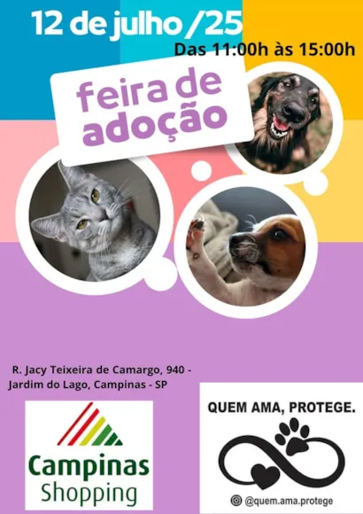 Encontre um Amigo na Feira de Adoção de Campinas!