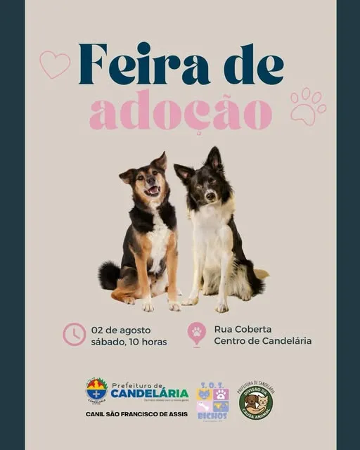 Participe da Feira de Adoção em Candelária e adote um novo amigo no dia 02 de agosto. Não perca!