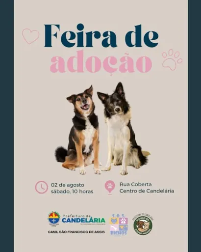 Encontre Seu Novo Melhor Amigo na Feira de Adoção em Candelária