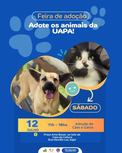 Venha à Feira de Adoção da UAPA