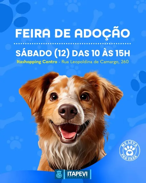 Não perca a Feira de Adoção em Itapevi! Encontre seu novo melhor amigo neste sábado (12) das 10h às 15h no Itashopping Centro.