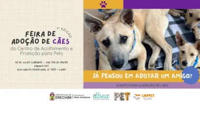 1ª Edição da Feira de Adoção de Cães em Erechim