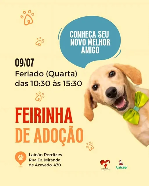 Participe da Feirinha de Adoção Laicão Perdizes em São Paulo no dia 09/07/2025. Encontre o seu novo melhor amigo e faça a diferença na vida de um animal.