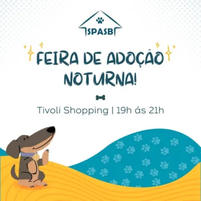 Feira de Adoção Noturna - Encontre seu Companheiro Ideal